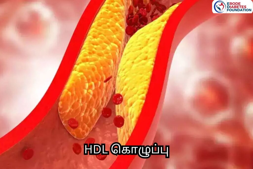 HDL கொழுப்பு: உங்கள் இதயத்திற்குத் தேவையான நல்ல கொலஸ்ட்ரால்