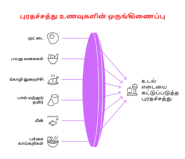 தினசரி உணவில் சேர்க்க வேண்டிய புரதச்சத்து உணவுகள்
