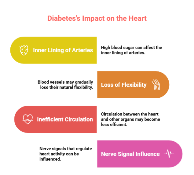 How Diabetes Affects the Heart and Increases Cardiovascular Disease Risk?